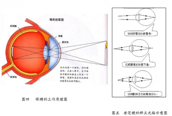 美麗島眼鏡：老花鏡不可隨意亂帶，需要在專(zhuān)業(yè)驗光后科學(xué)配制